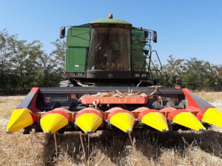 Culegător porumb 6R, cadru fix, ZIEGLER CORNCHAMPION
